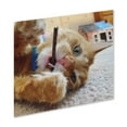 thumbnail image 4 of Kitty Ka-Zoom Silvervine Dental Chew Sticks for Cats, 4 of 4