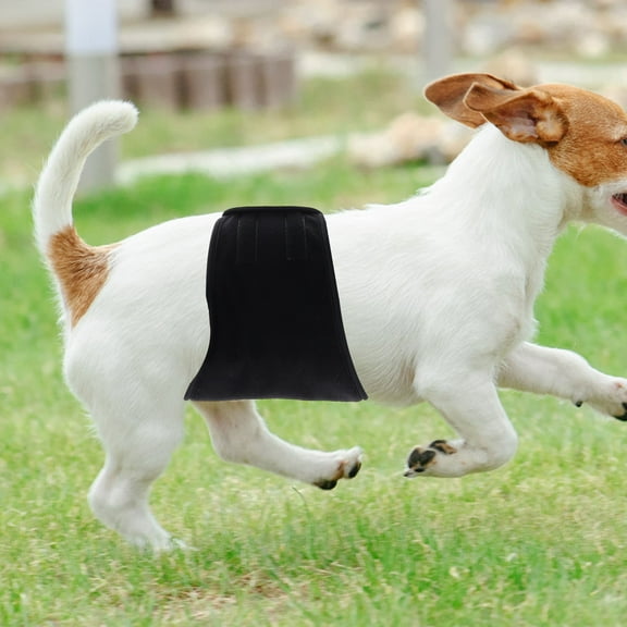 UNOMOR House Training Aid Belly Band for Dogs Black Cotton Indoor Use 1Pcs