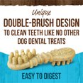 thumbnail image 3 of Merrick, Fresh Kisses Brush - Mint - Dog Treat, 3 of 5