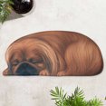 thumbnail image 6 of Aihimol Non Slip Cute Pet Dog Themed Carpet,Welcome Floor Doormat Non Slip Floor Mat Summer Holiday Funny Novelty Door Mats for indoor Outdoor Holiday Decoration 34.25x15.74in, 6 of 7