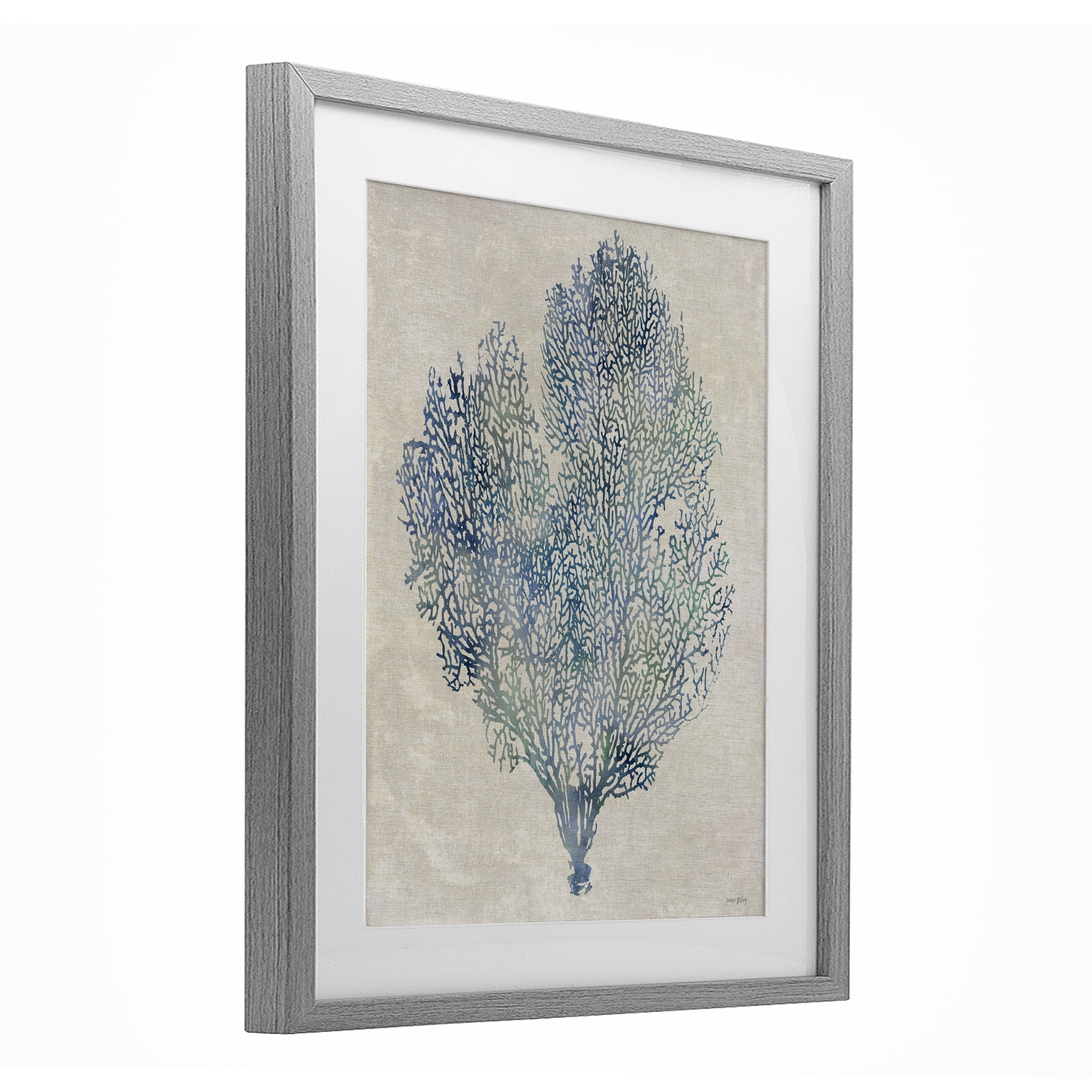 Stupell Industries Fan Coral in Blue & Green Gray Framed Print Under Glass, design by Amber Sterling