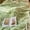 Green 8O5, variant on Rvkxad Fleece Throw Blanket, 59x40 Inch Soft Warm Fluffy Cream Striped Blanket for Couch, Plush Blanket, Sofa Throw