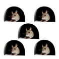 thumbnail image 1 of Advancent 5 piezas de paredes limpias y frescas con pegatinas de pared con agujero para ratón, adhesivo temático para pared con agujero para Decoración del hogar, 1 of 6