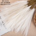 thumbnail image 1 of pitrice INS Wind Simulation Flower Manufacturer Home Decoration Wedding, 1 of 6