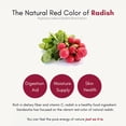 thumbnail image 3 of Bálsamo labial SKINCURE Sandawha Floral Halo Lip Glow Rose 3,4 g, 3 of 9