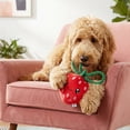 thumbnail image 5 of Oodles Durable Cherry and Strawberry Plush Dog Toy Set, Multicolored, One Size, 5 of 9