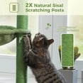 thumbnail image 4 of PAWZ Road Cactus Cat Tree Condo 39.4" with Hammock, Tall Sisal Scratching Post for Indoor Medium Cats, Green, 4 of 12