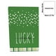 thumbnail image 3 of Decoraciones para el Día de San Patricio, Accesorios para el Día de San Patricio, Regalos para el Día de San Patricio, Toalla de cocina para el Día de San Patricio, Toalla de tréboles verdes, Decoraci, 3 of 6