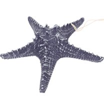 Mobutofu Hotel Blue Resin Sea Star Ornament 1Set For Wall Hanging 9.1x9.1in