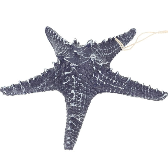 Mobutofu Hotel Blue Resin Sea Star Ornament 1Set For Wall Hanging 9.1x9.1in