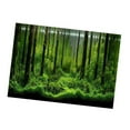 thumbnail image 1 of Fondo de Pecera, Fondo de Acuario, Papel Tapiz de Pecera, Imagen de Fondo de Bosque, Adhesivo de PVC, Cartel de Tanque de Bosque Subacutico, Telón de Fondo, decoración, papel, 1 of 7