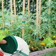 thumbnail image 5 of Cinta verde para corbata de jardín, lazos para plantas de 0,3 pulgadas, 82 pies, lazos para plantas de jardín, lazos suaves y para plantas de tomate, lazos para plantas para jardinería, 5 of 5