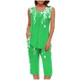 thumbnail image 1 of Conjunto de Verano para las Mujeres Impreso Casual sin Mangas Plisado Superior Y Pantalones Recortados, Cuello Redondo Conjunto de Dos Piezas, 1 of 8