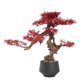 thumbnail image 1 of Árbol de bonsái artificial en maceta, plantas de pino en maceta de imitación, árbol artificial de hoja, bonsái de arce rojo, decoración de escritorio Zen for interior, hogar y oficina, 1 of 4