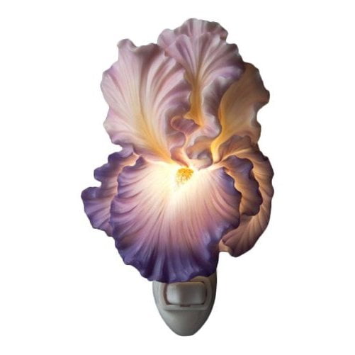 Purple Bearded Iris Night Light Ibis & Orchid Flowers of