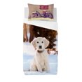 thumbnail image 1 of Gouchee Home Tommy Twin Duvet Cover Set – 2‑Piece OEKO‑TEX Certified Cotton Bedding with Winter Puppy Print, 1 of 2