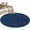 Blue, variant on Entryway Rug 2'x3', Dark Blue Small Rug for Kitchen Bathroom Door Mat Indoor Entrance, Retro Farmhouse Plants Wall Lines Texture Non-Slip Area Rugs Floor Mats Carpet Front Door Rugs