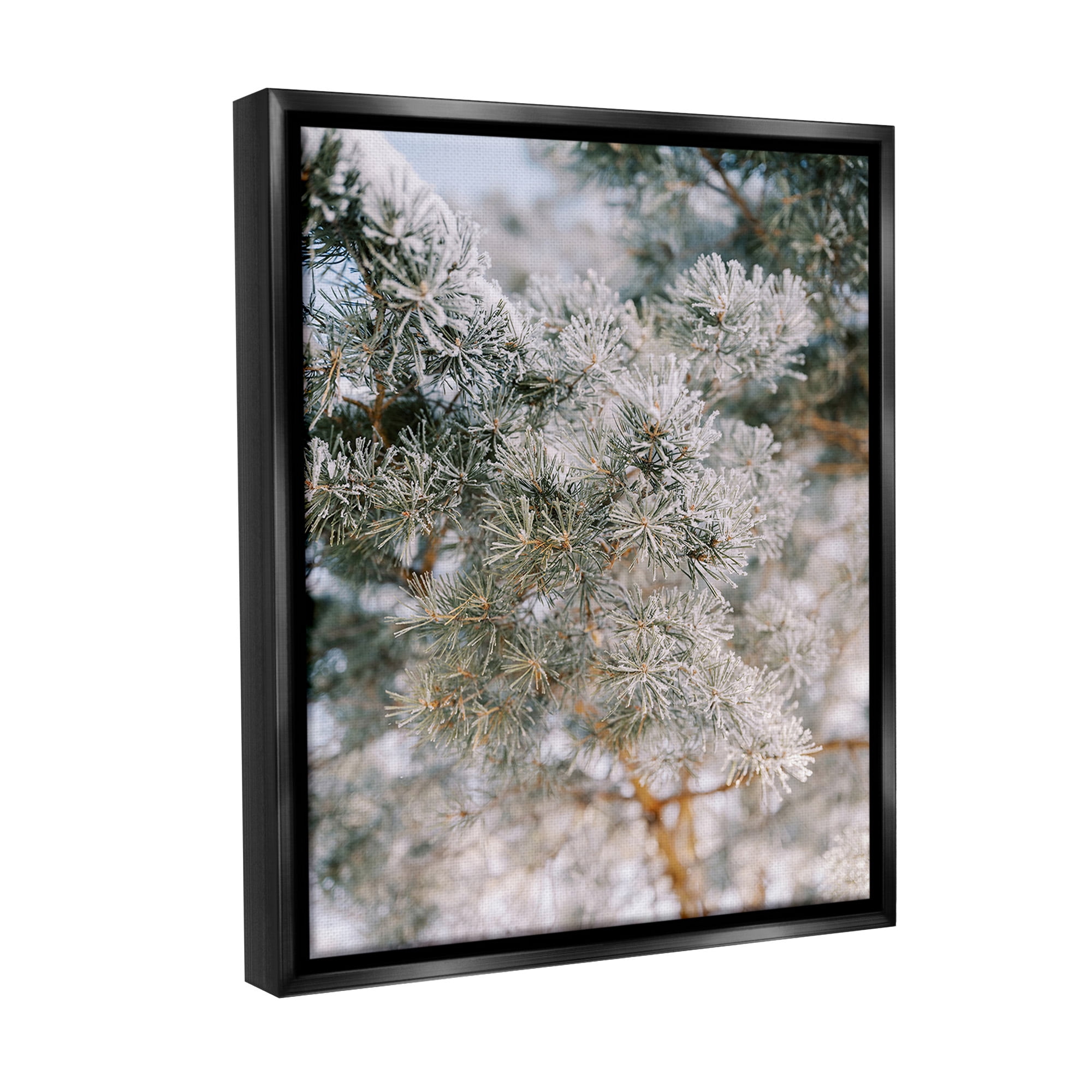Stupell Industries Frosted Fir Tree Branches Landscape Photography Black Floater Framed Canvas Art Print Wall Art, 17 x 21