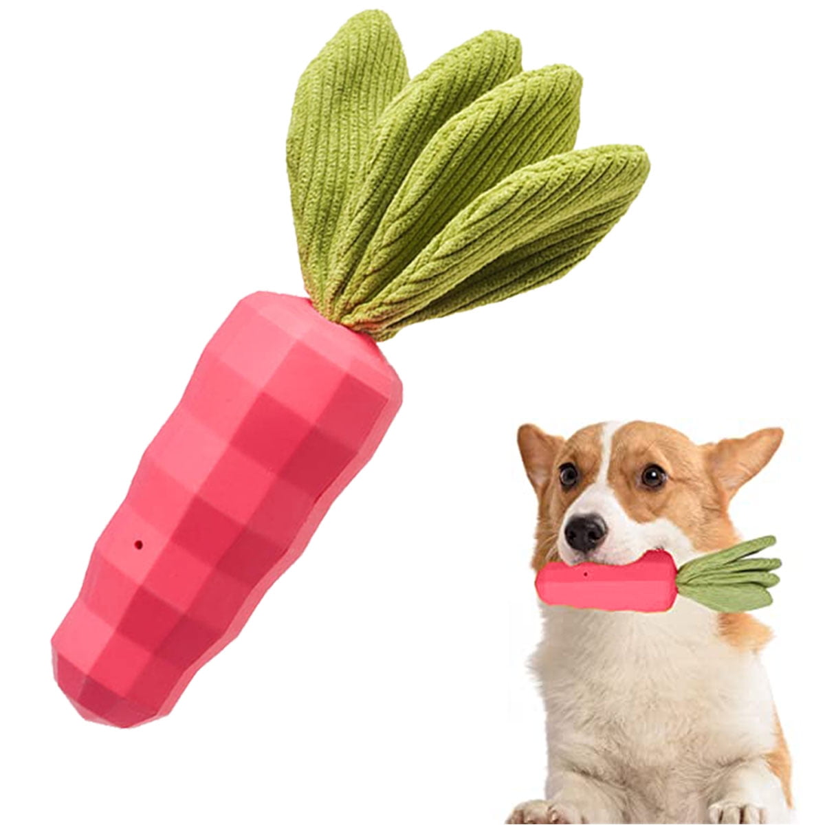 Do Carrots Help Clean Dogs Teeth