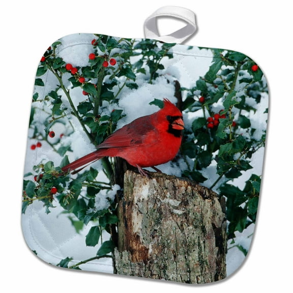 3dRose, Northern Cardinal male on stump near China Holly in winter, IL, 8x8 Potholder