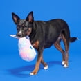 thumbnail image 2 of BARK Cotton Candy Eyed Joe - Yankee Doodle Dog Toy, with Bonus Spiky Squearker Ball, all Dog Sizes, 2 of 7