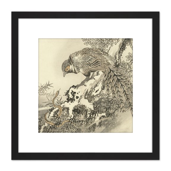Bairei Pheasant Snake Japanese Painting 8X8 Inch Square Wooden Framed Wall Art Print Picture with Mount