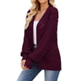thumbnail image 3 of Nlife Women Open Front Lantern Sleeve Crochet Cutout Ribbed Edge Sweater, 3 of 5