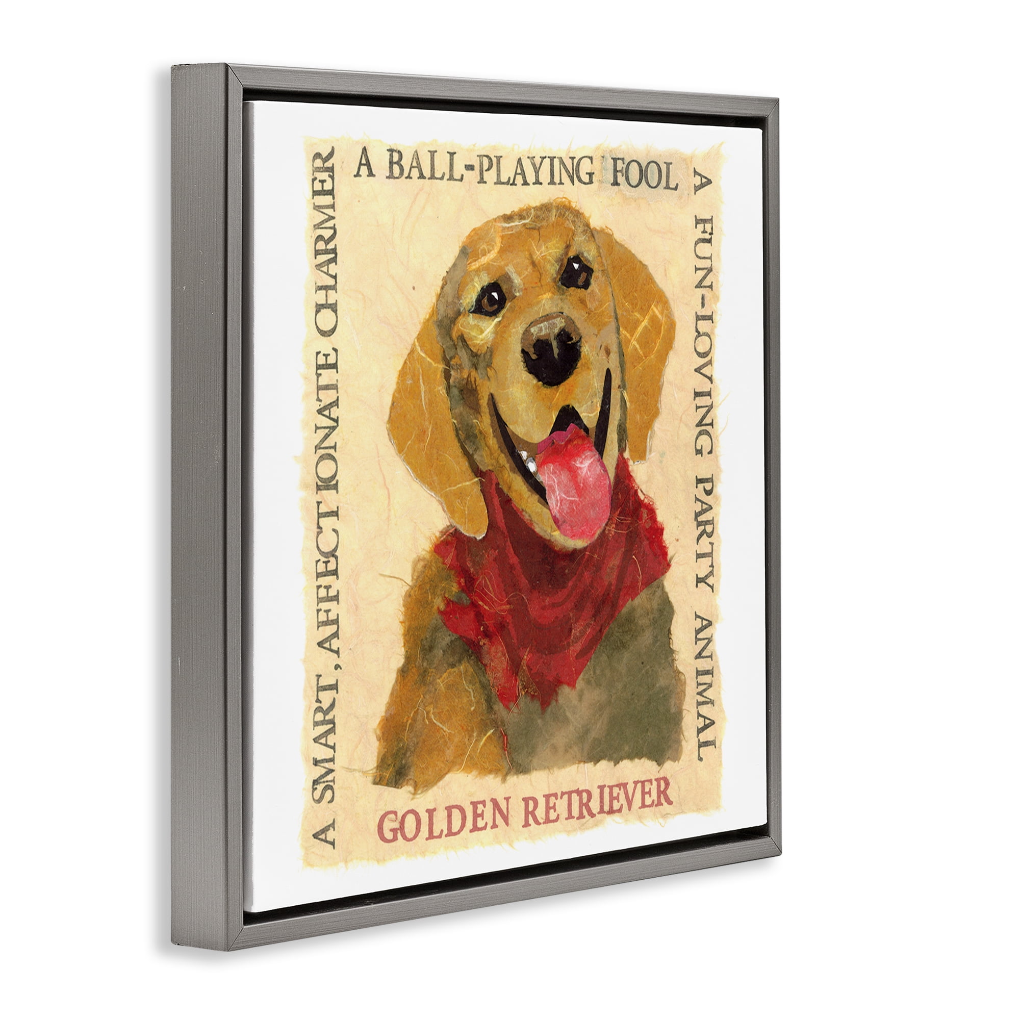 Stupell Industries Fun Golden Retriever Phrases Animals Painting Gray Floater Framed Canvas Art Print Wall Art, 18 x 18