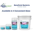 thumbnail image 3 of Aquascape 98950 Dry Beneficial Bacteria for Pond and Water Features, 7-Pound, 3 of 7