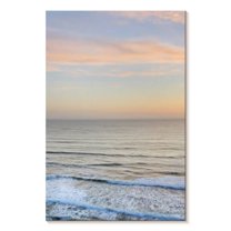 Elephant Stock Sunset On Redwoods Coast Wall Art - Vertical Canvas Wall Art - Living Room Wall Decor - Beach Canvas - Blue And Gray Decor By Alan Majchrowicz - 20" x 30"