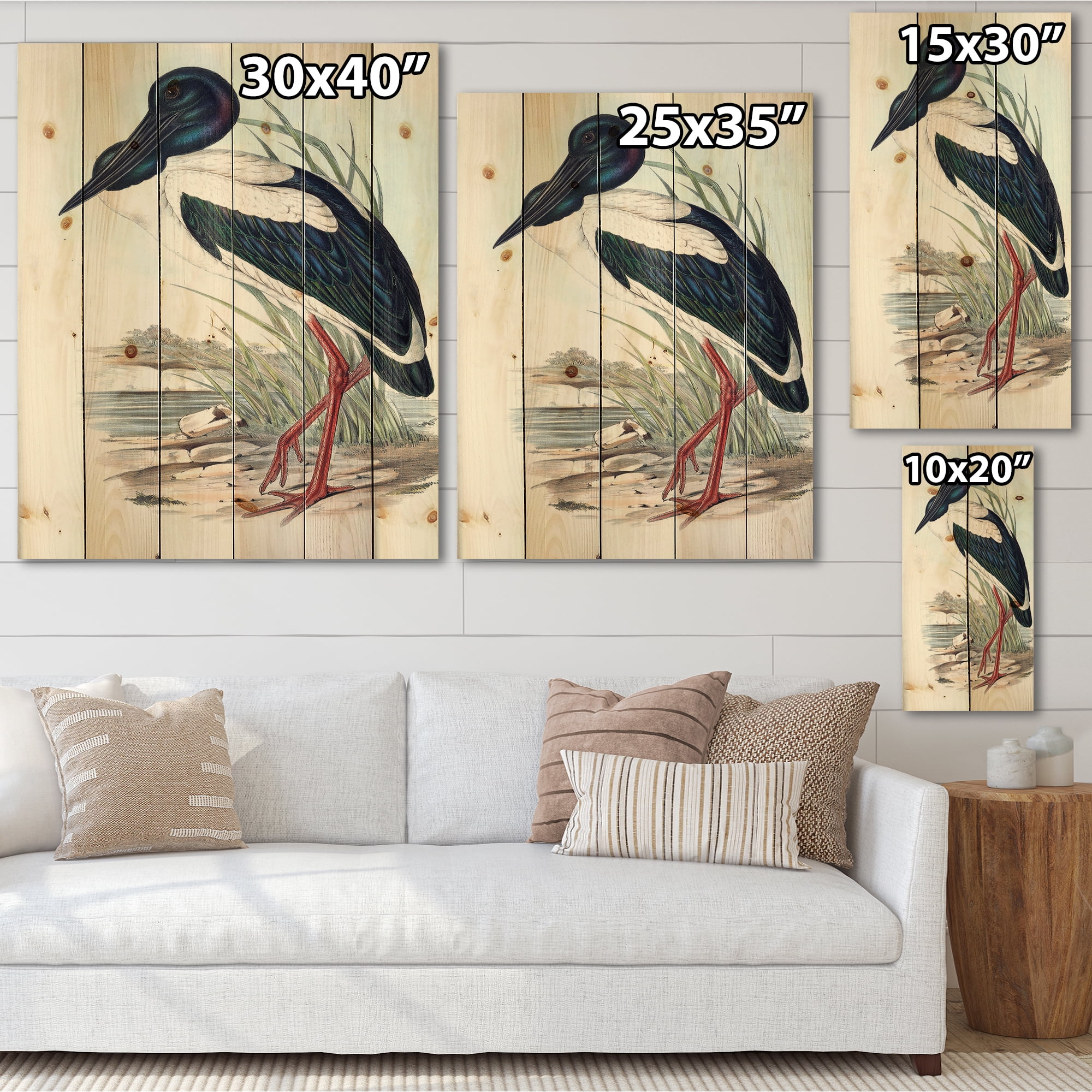 Designart 'Australian Vintage Birds I' Traditional Print on Natural Pine Wood