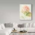 thumbnail image 3 of Trademark Fine Art 'Floursack Florals VI' Canvas Art by Danhui Nai, 3 of 3