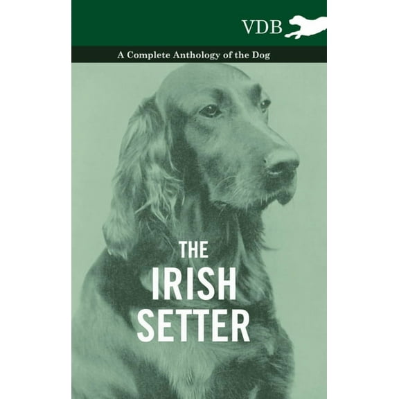 The Irish Setter - A Complete Anthology of the Dog, (Paperback)