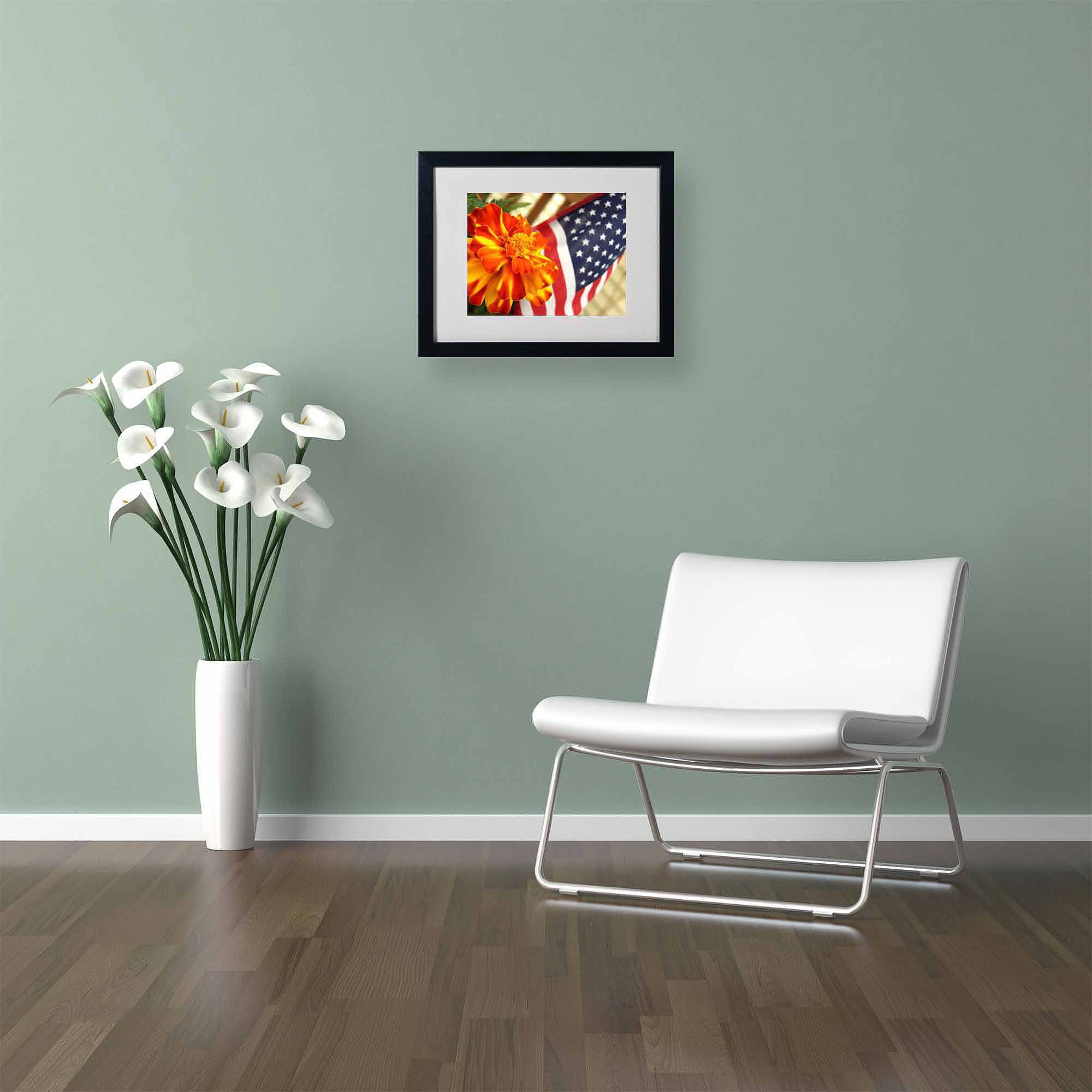Trademark Fine Art "Grace in Honor" Canvas Art by Monica Fleet, Black Frame