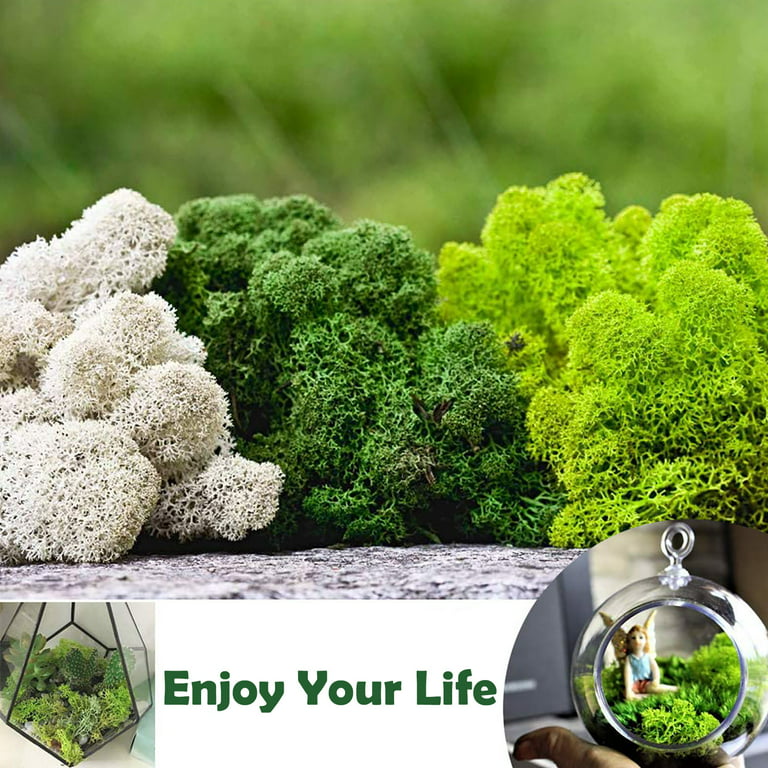 Green Moss for Crafts, Artificial Moss for Potted Plants