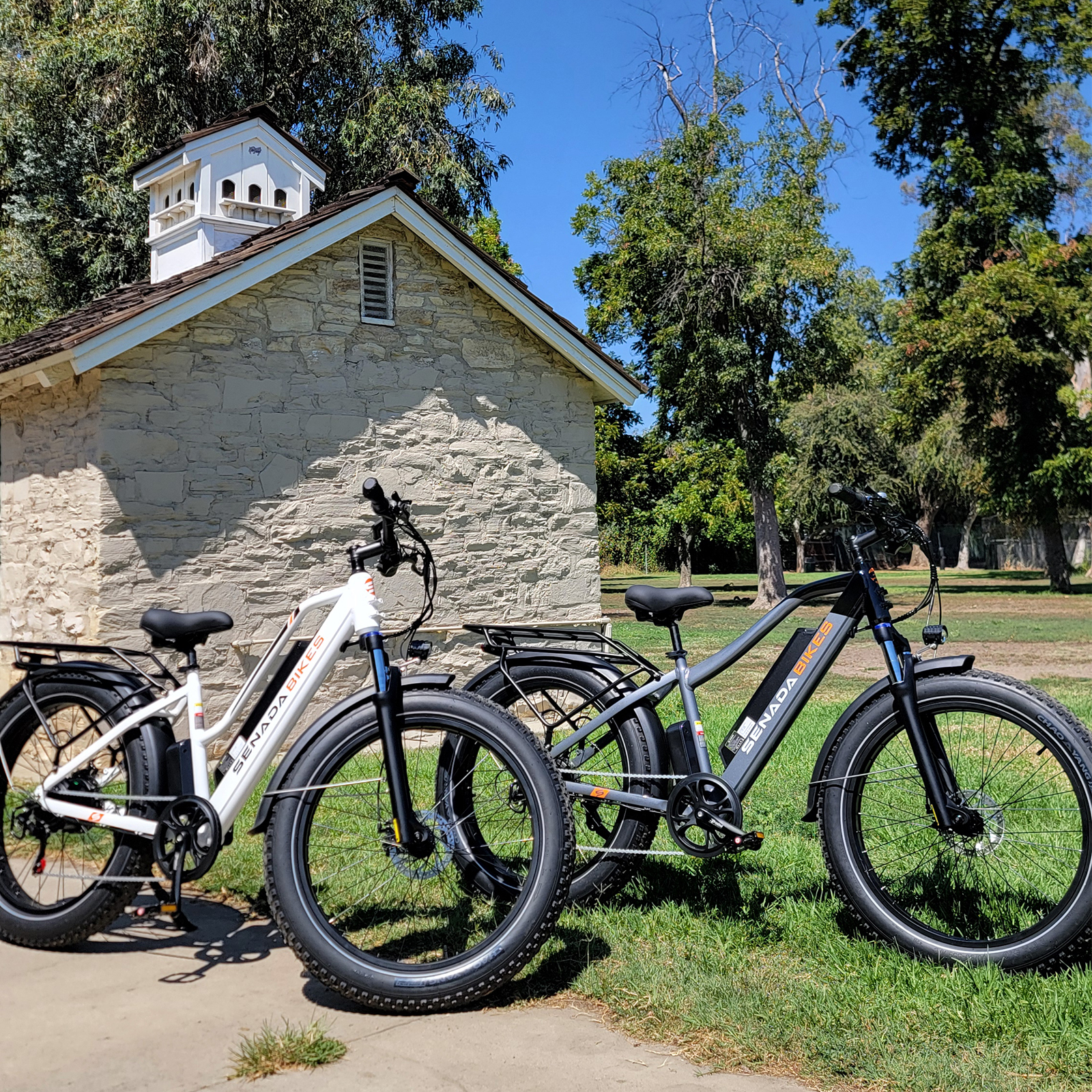 SENADA 26" Fat Tire Electric Bike for Adults, 1000W Peak Mountain Electric Bicycle 30MPH 65Miles Range, Ebike for Adult with 48V 17.5AH Battery, Colorful LCD Display & 7 Speed