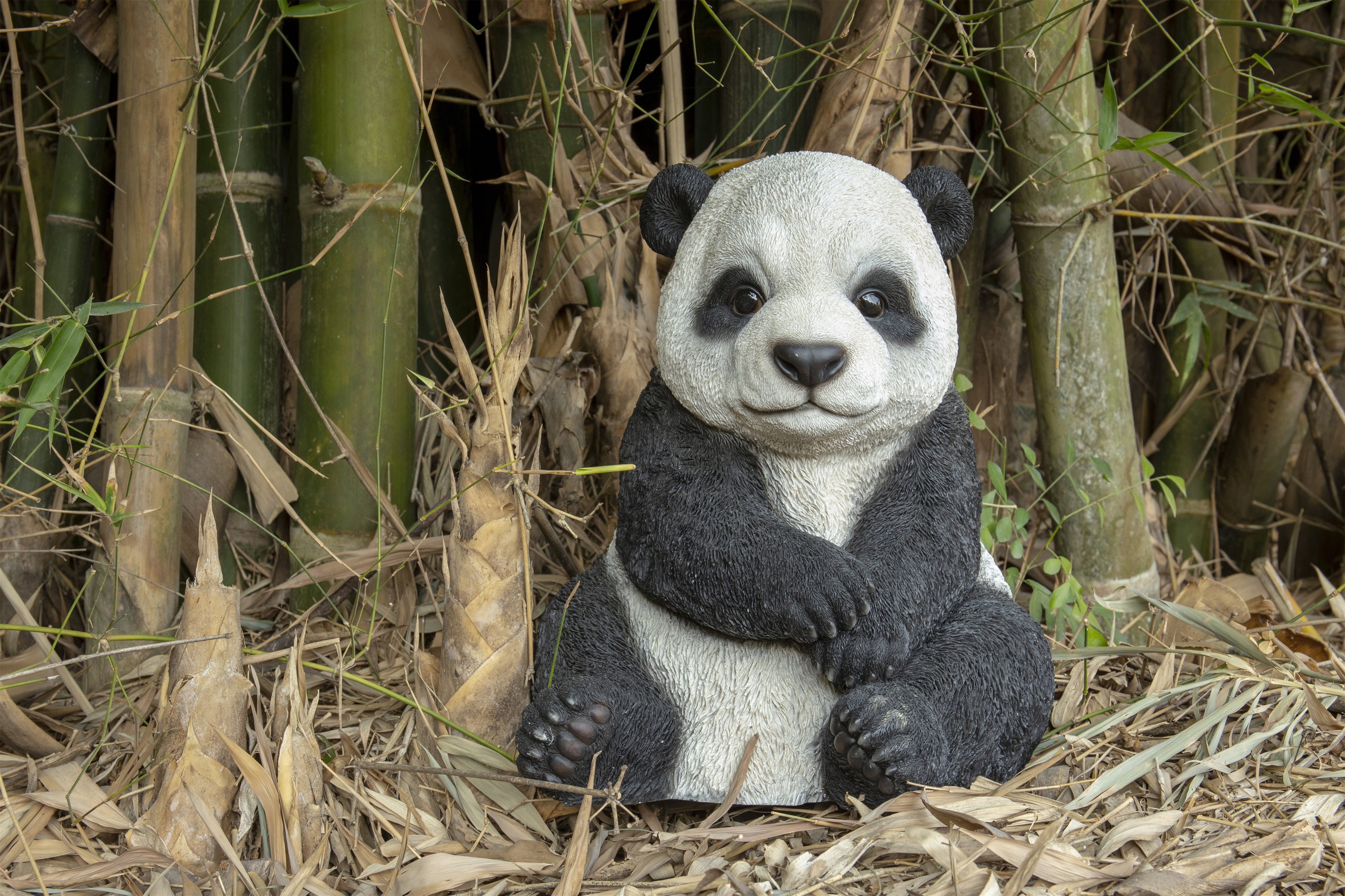 SMALL PANDA CUB SITTING