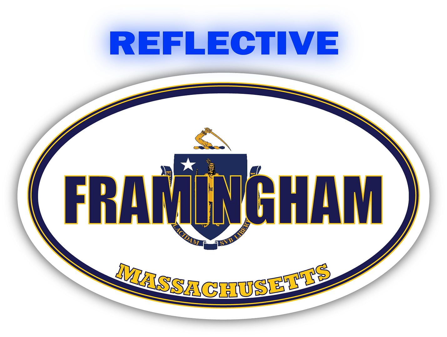Framingham City Massachusetts State Flag MA Flag Middlesex County