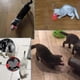 thumbnail image 4 of Laser Pointer For Cats Usb Rechargeable Led Flashlight Uv Light 26-27s, 4 of 5