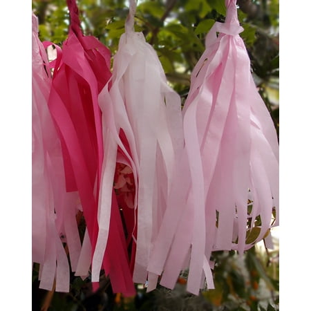 Tassel Kit - Tissue Paper Tassel Garland Kit - Pink Party