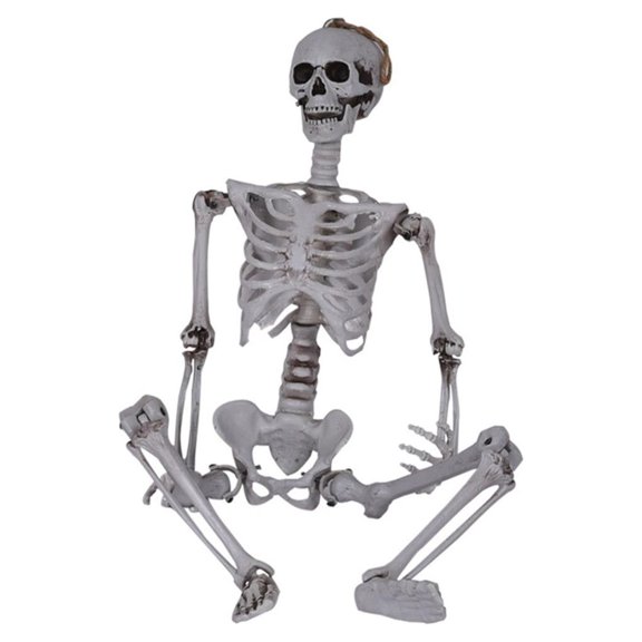 XUYAN Halloween Skeleton Life Size Full Body Posable Joints Human Skeletons Halloween Skeleton Decor for Halloween Party House Supplies Kitchen Table Thanksgiving Halloween Christmas Festival Fall