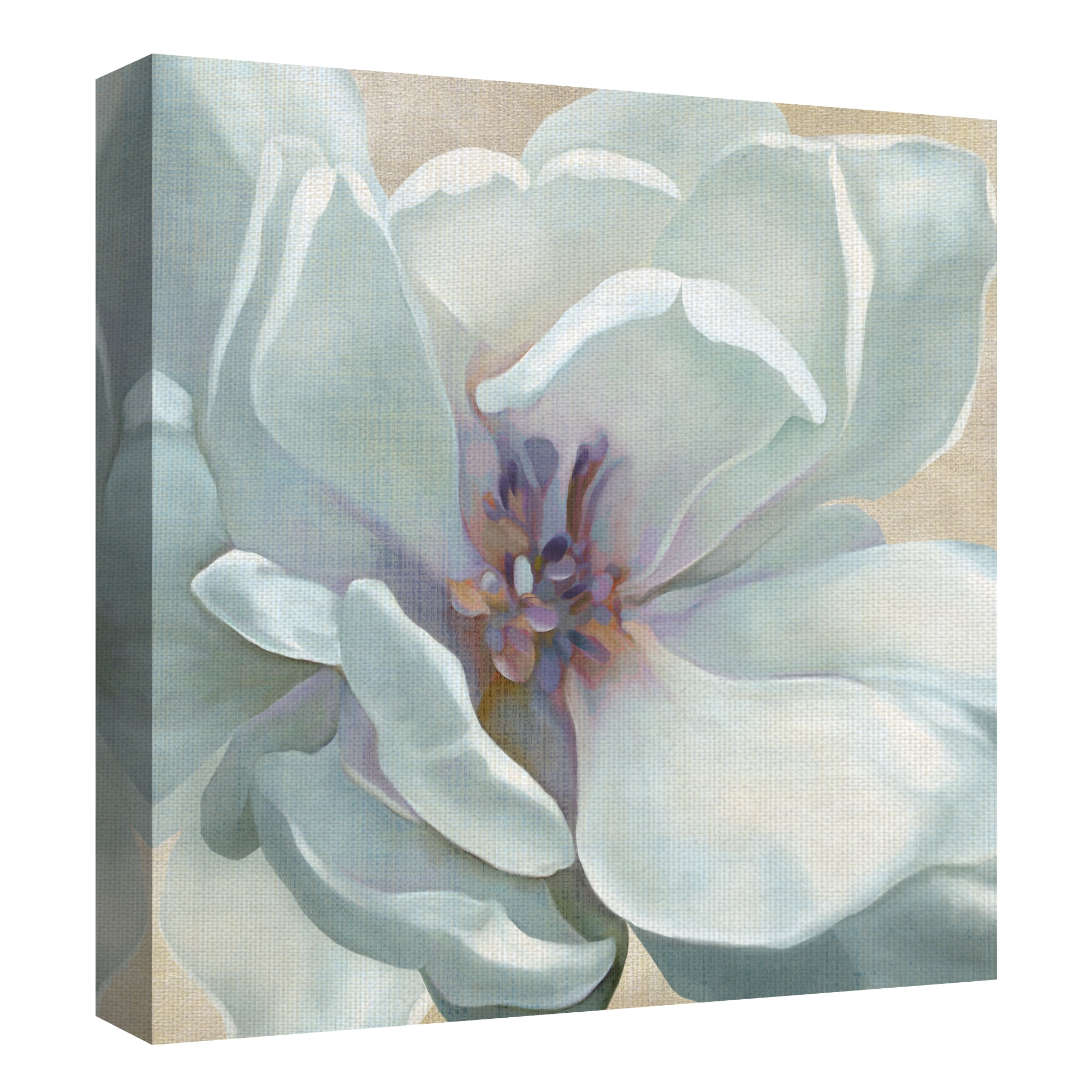 Masterpiece Art Gallery Iridescent Bloom I White Flower By Carol Robinson Canvas Art Print 35" x 35"