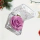 thumbnail image 3 of 1 pieza de flor preservada, rosa de la eternidad, rosa nunca marchita, regalo para el cumpleaños y aniversario del día de San Valentín con caja de regalo con cajón (morado claro), 3 of 4