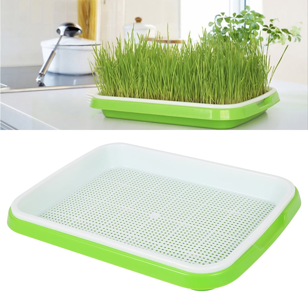 BPA Free Nursery Tray Seed Germination Tray Healthy Wheatgrass Seeds Grower & Storage Trays for Garden Home Office SHEING Seed Sprouter Tray 5 Pack 