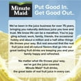 thumbnail image 4 of Minute Maid Lemonade Fruit Juice, 12 fl oz Single Can, 4 of 7