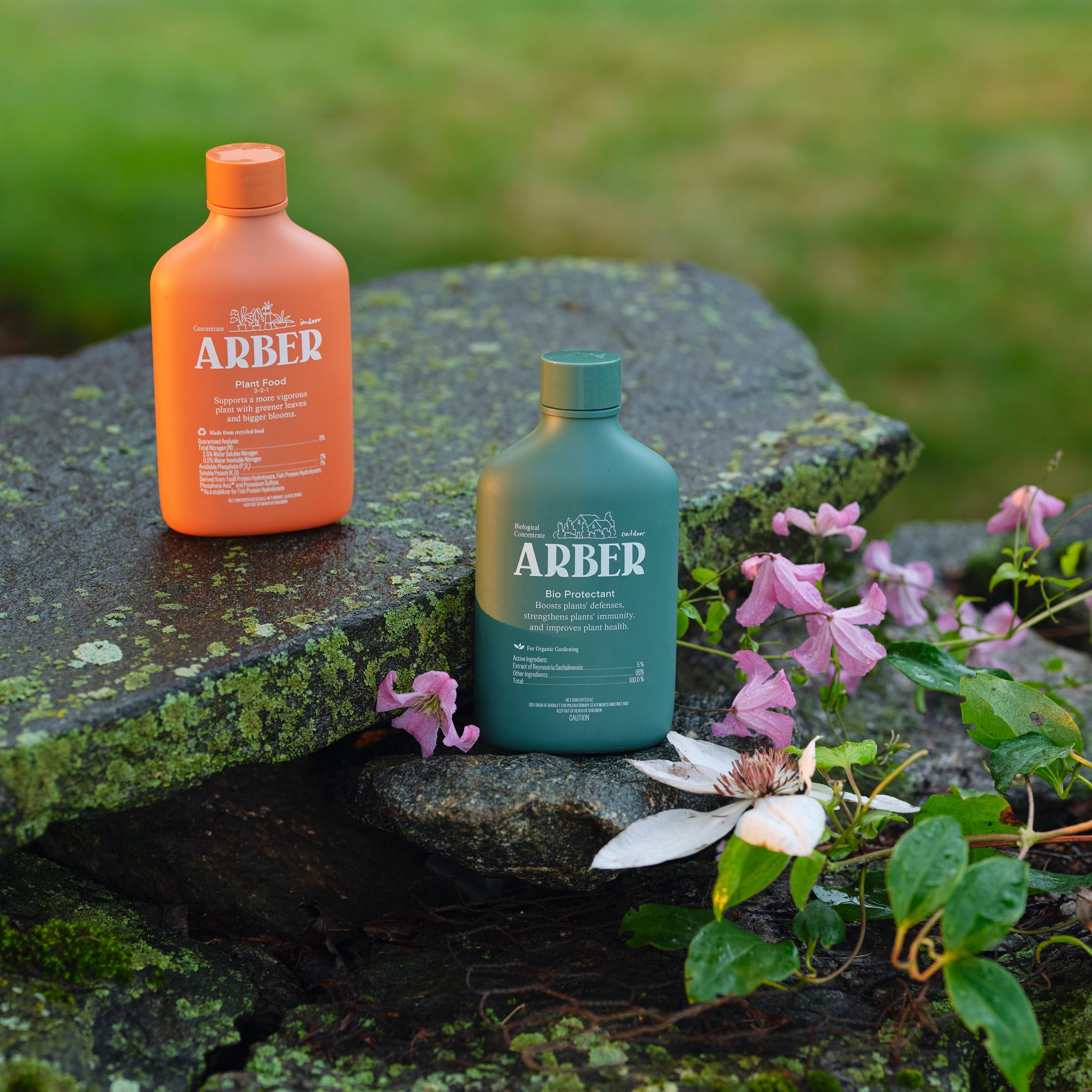Arber Nutrition & Health Set