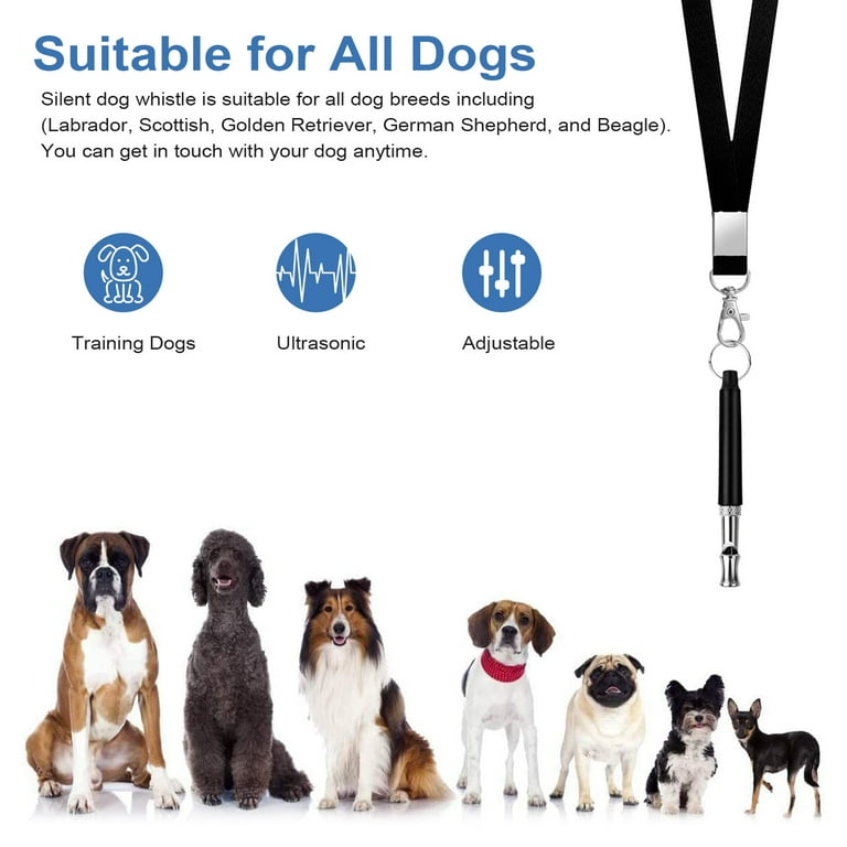 Do Dog Whistles Attract Dogs