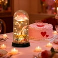 thumbnail image 5 of Mecorevxz Battery-Powered Glass Rose Lamp Christmas Gift for Women, Wife, Grandmothers LED Eternal Flowers 2 Little Bear Night Lights Valentines Day & Birthday Gift（Pink）, 5 of 7