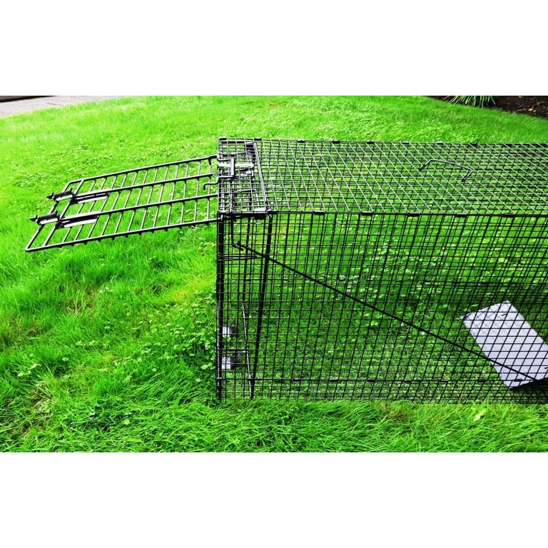 Humane Way Folding 50 Inch Live Humane Animal Trap - Safe Traps for All  Animals - Dogs, Raccoons, Cats, Groundhogs, Opossums, Coyote, Bobcat 