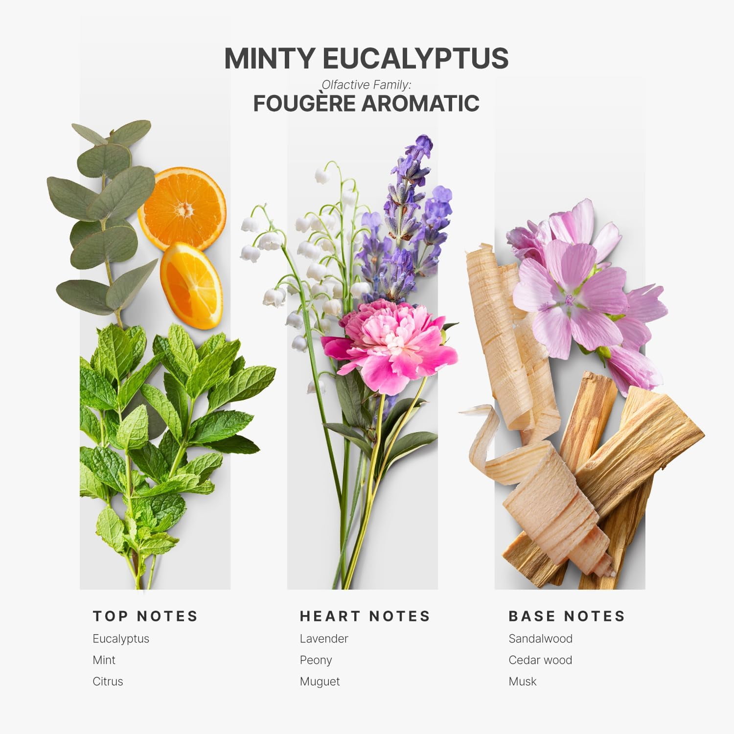 Aromaplan Minty Eucalyptus Luxury Diffuser Oil, 16 fl oz (473 mL) - Hotel Scent, USA Made